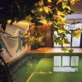Hidden oasis 